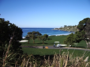 Dana Point condo for sale - golf course near by